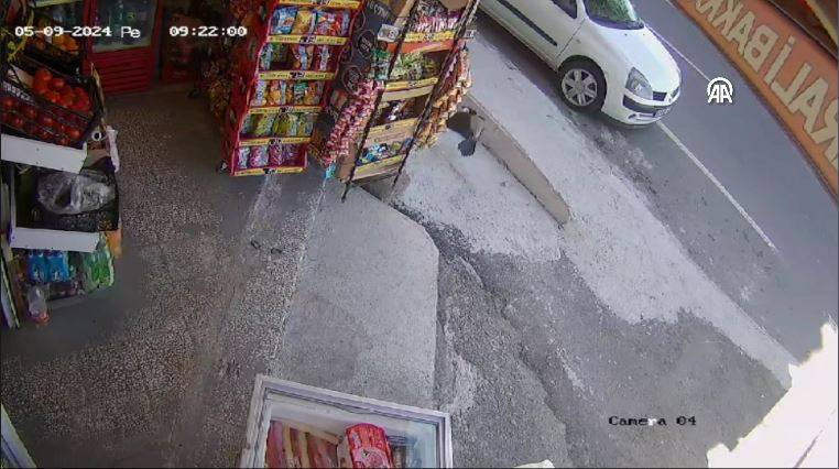 Bakkaldan cips çalan karga suçüstü yakalandı! Etrafı kolaçan etti paketi alıp kaçtı - Resim: 29